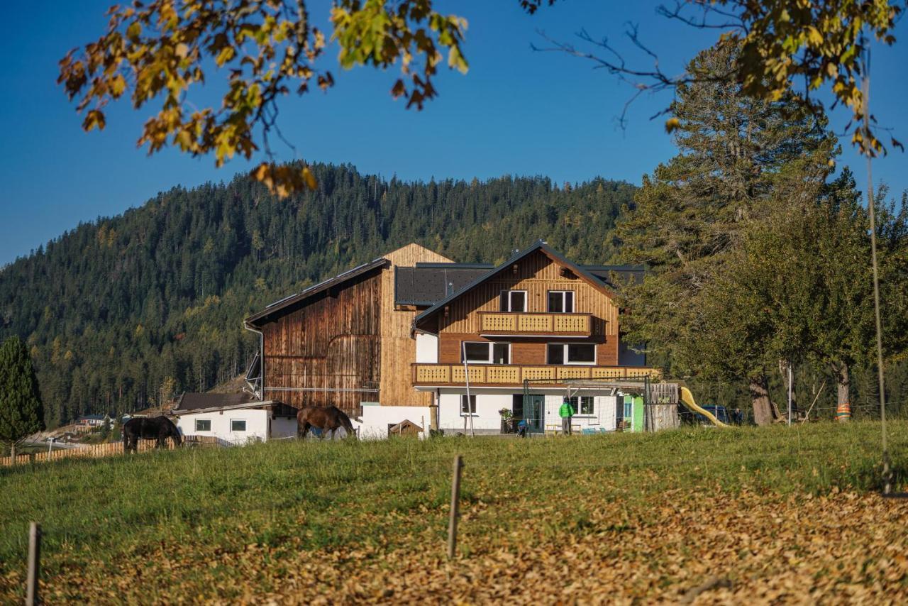 Deluxe Appartement Blasbichlerhof Ramsau am Dachstein Eksteriør bilde
